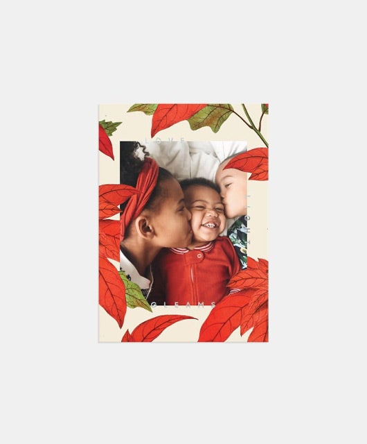 Poinsettia Border Holiday Card